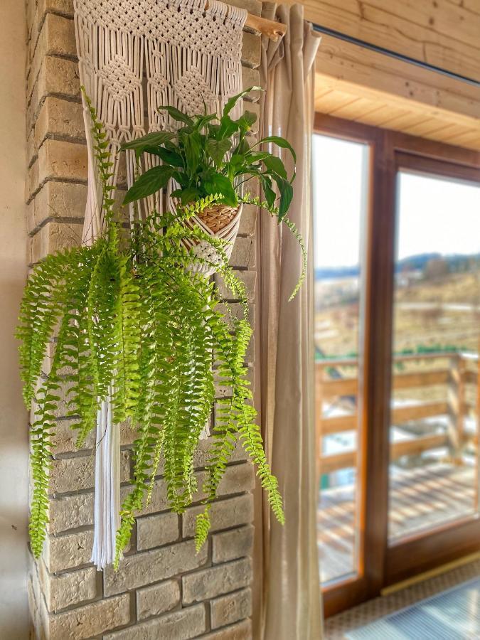 Dziejba Lesna Apartamenty &Spa - Piekne I Nowe Apartamenty I Domek, Sauna I Jacuzzi - W Cenie I Na Wylacznosc, 1 Km Od Stoku Jaworki Exteriér fotografie