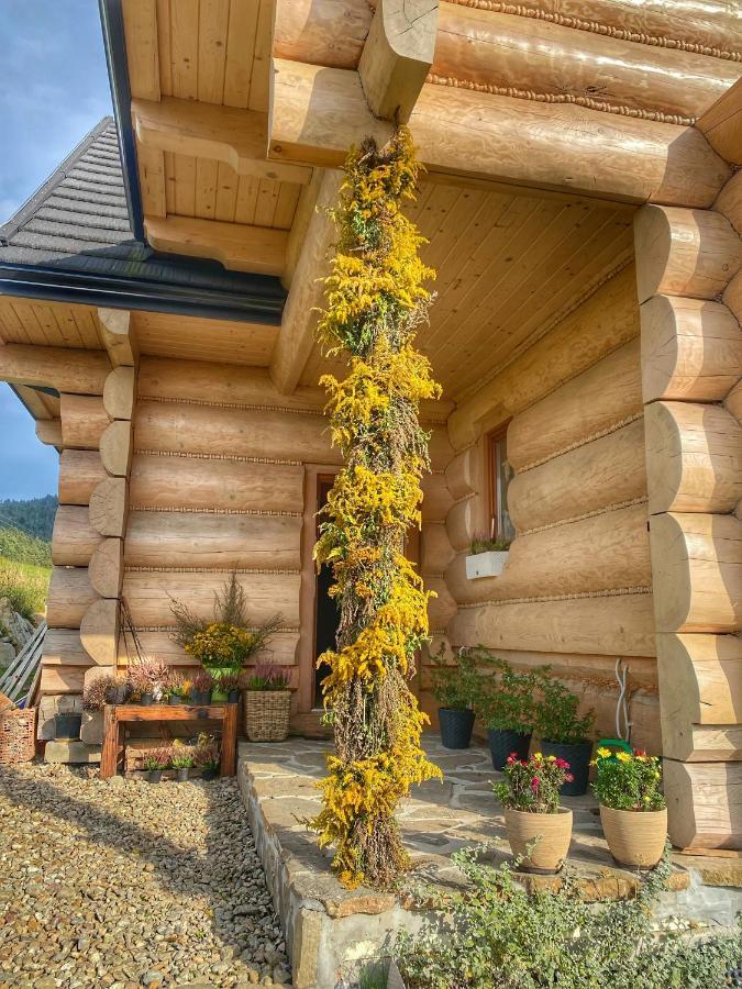 Dziejba Lesna Apartamenty &Spa - Piekne I Nowe Apartamenty I Domek, Sauna I Jacuzzi - W Cenie I Na Wylacznosc, 1 Km Od Stoku Jaworki Exteriér fotografie