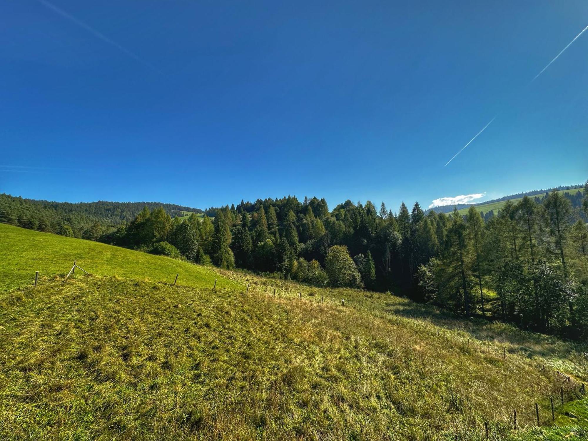 Dziejba Lesna Apartamenty &Spa - Piekne I Nowe Apartamenty I Domek, Sauna I Jacuzzi - W Cenie I Na Wylacznosc, 1 Km Od Stoku Jaworki Pokoj fotografie